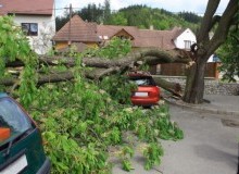 Kwikfynd Tree Cutting Services
woronoraheights