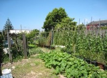 Kwikfynd Vegetable Gardens
woronoraheights